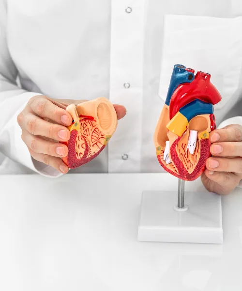 ¿Dónde encontrar buena atención cardiológica a buen precio en Nuevo León?